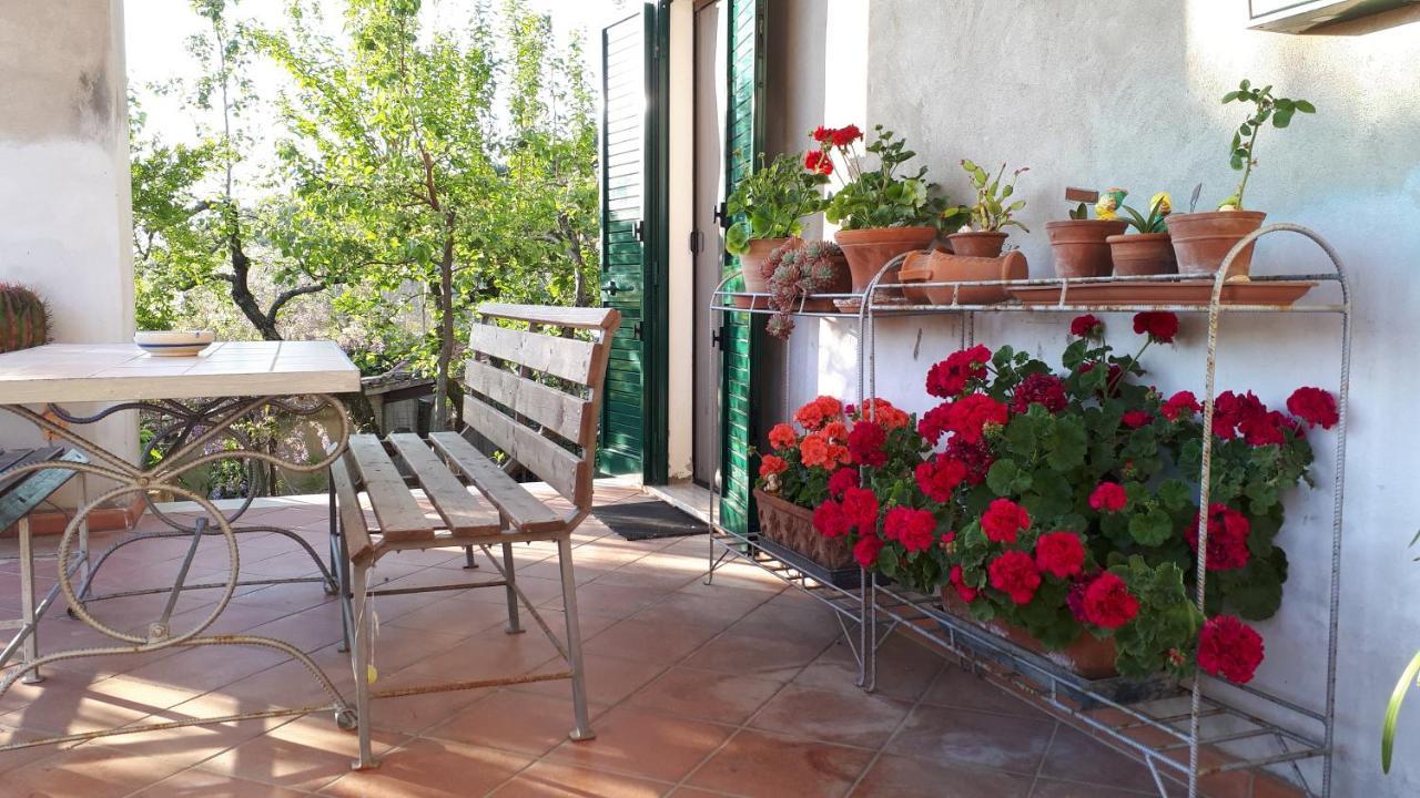 Ferienwohnung Casa Di Giulia Santa Luce Exterior foto